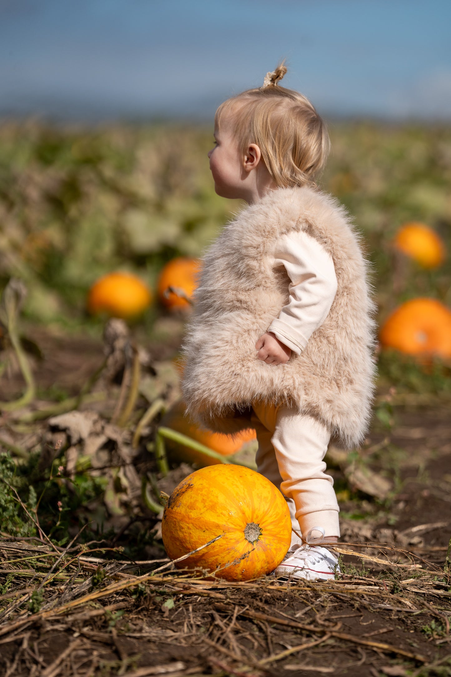 Faux Fur Gillet