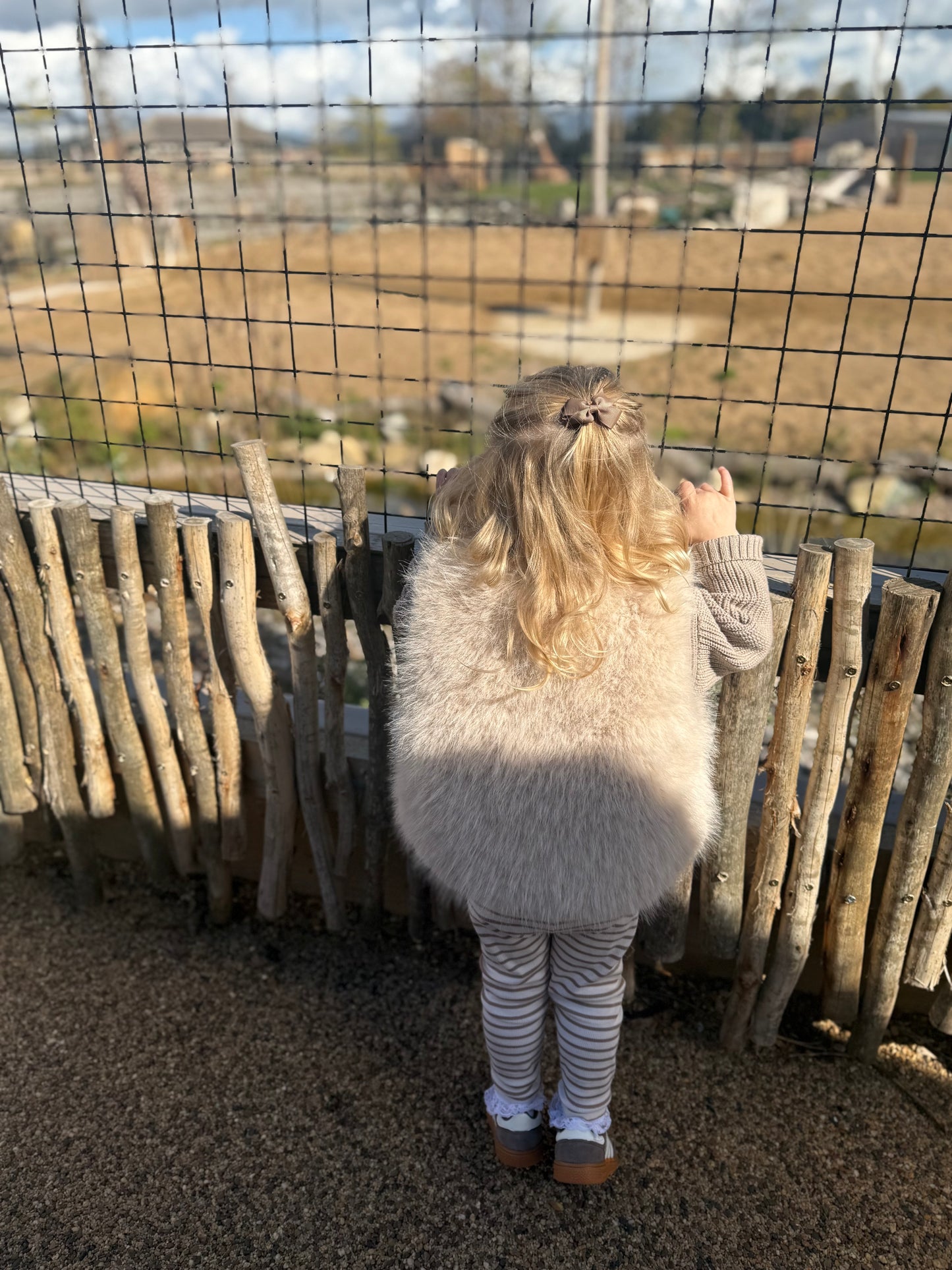Faux Fur Gillet
